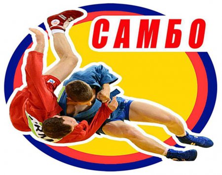 Первые соревнования в этом сезоне у юных самбистов Первые соревнования в этом сезоне у юных самбистов